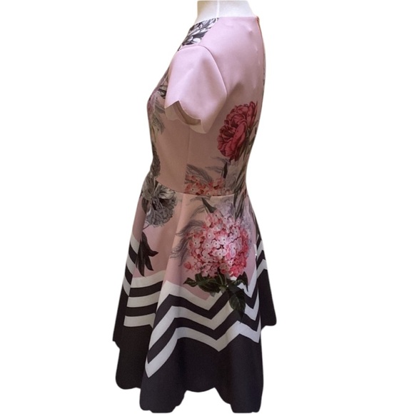 NWT Ted Baker Palace Gardens Skate Dress size 8 - Picture 5 of 13